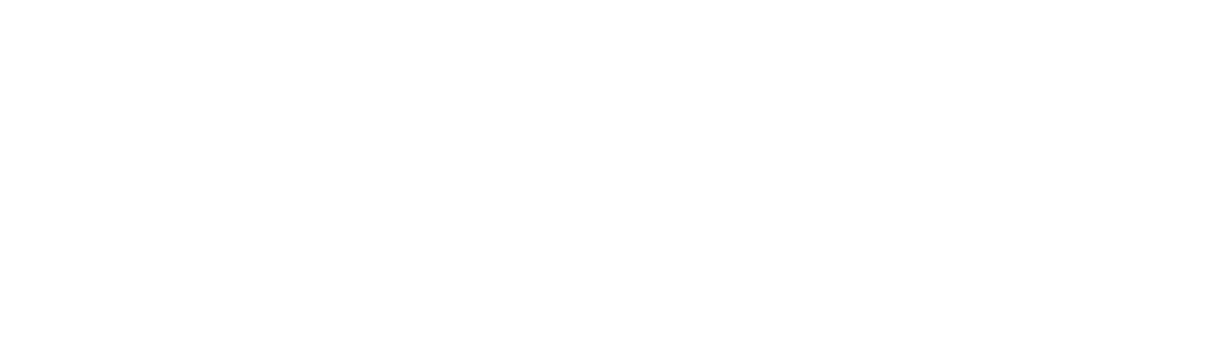 nico_logo-w